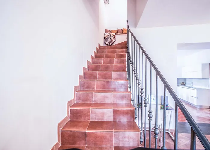 - Palazzo Mary アパート *